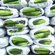 [두미원] 국산콩 100% 참된장 1kg 항아리숙성