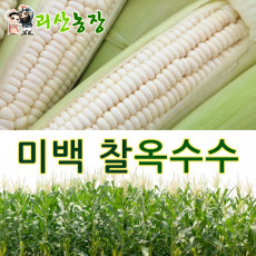 웰품 누룽지향 고향찹쌀