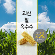 웰품 누룽지향 고향찰현미