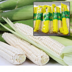 웰품 생무청 삶은 시래기 300g x 2팩 3팩 4팩 6팩 8팩