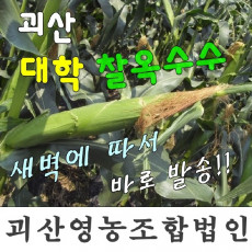 현무암 벽돌 디딤돌 정원 바닥재 가벽 콘크리트 유리