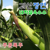 각관 조인트 벽고정 브라켓 소켓 58종