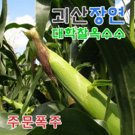 각관 조인트 벽고정 브라켓 소켓 58종