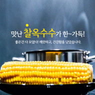 햇 코끼리마늘 한국고유종 /햇 비트 국내산 토종작물