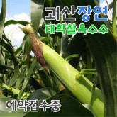 테스트 등록