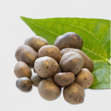 안동 햇 마씨앗 1kg,2kg,3kg,5kg,10kg